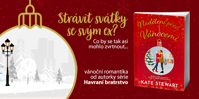 Nadělení před Vánocemi - Kate Stewart | Knihy Dobrovský