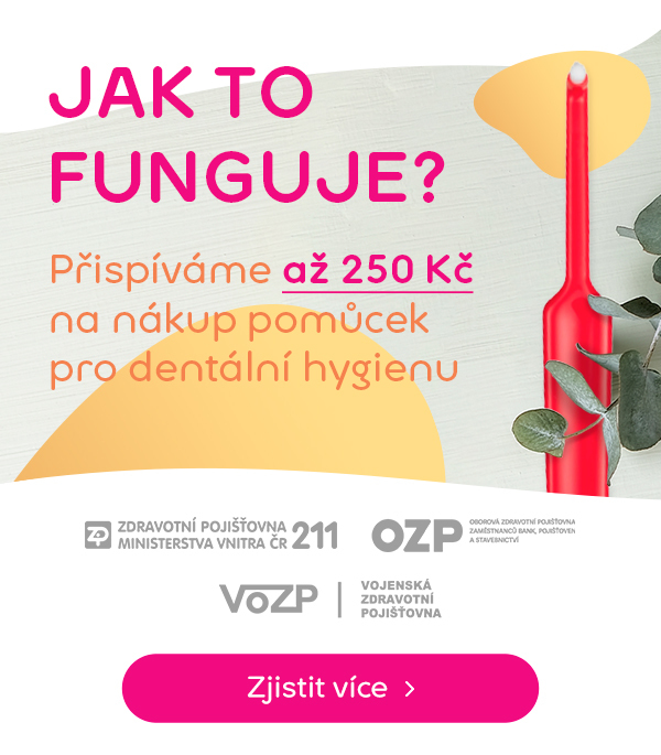 Jak funguje příspěvek? | Pilulka.cz