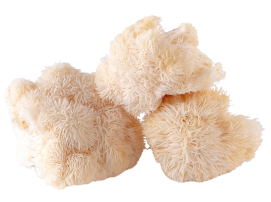 Hericium (Lion's mane) - cena již od 289 Kč | Pilulka.cz