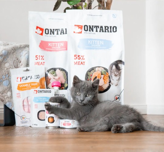 Ontario - cena již od 19 Kč | Pilulka.cz
