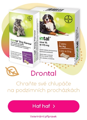 Veterina - Drontal | Pilulka.cz