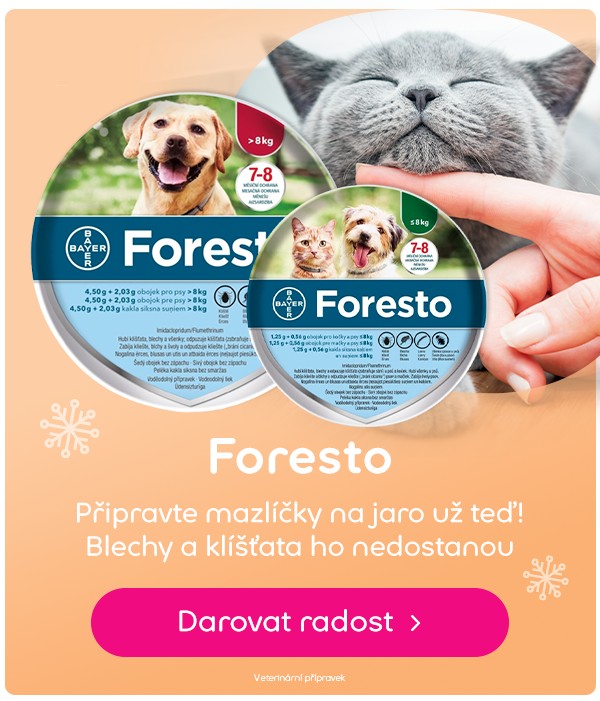 Foresto | Pilulka.cz