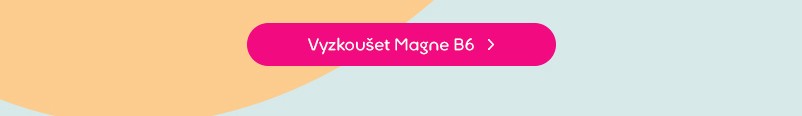 Vyzkoušet Magne B6