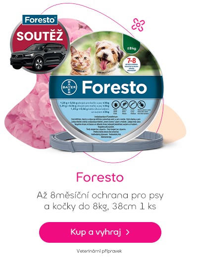 Foresto obojek pro kočky a malé psy do 8 kg, 38 cm 1 ks soutěž