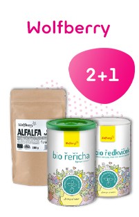 Wolfberry 2+1 zdarma